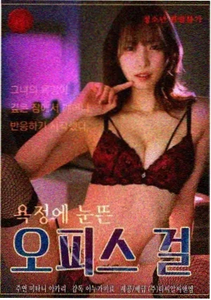 唐顿庄园 电视剧 2010 英国